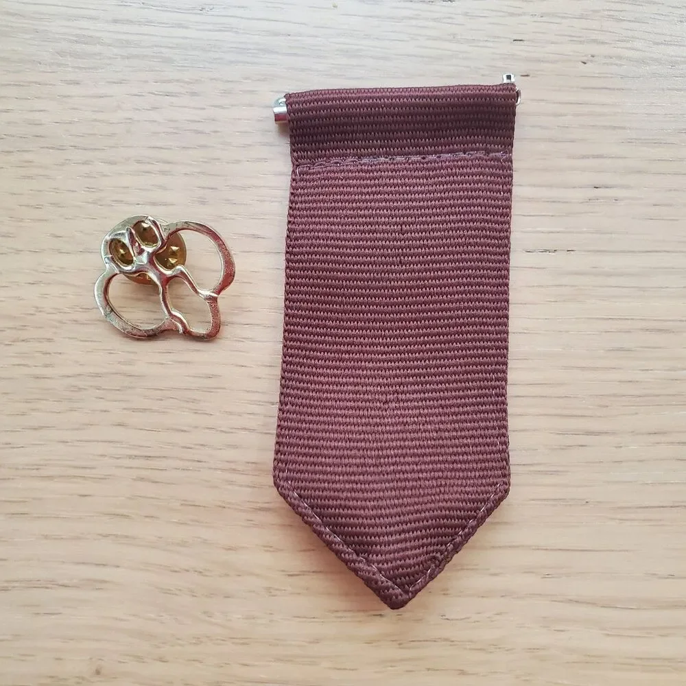 Vintage 90s Girl Scout Brownie Pin Set